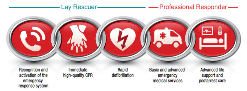 chain-of-survival-kerber Chain of Survival